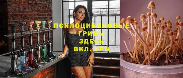 гашик Балахна