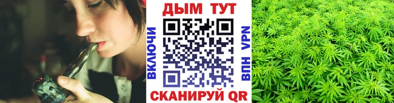 Шишки марихуана планчик  Нязепетровск 
